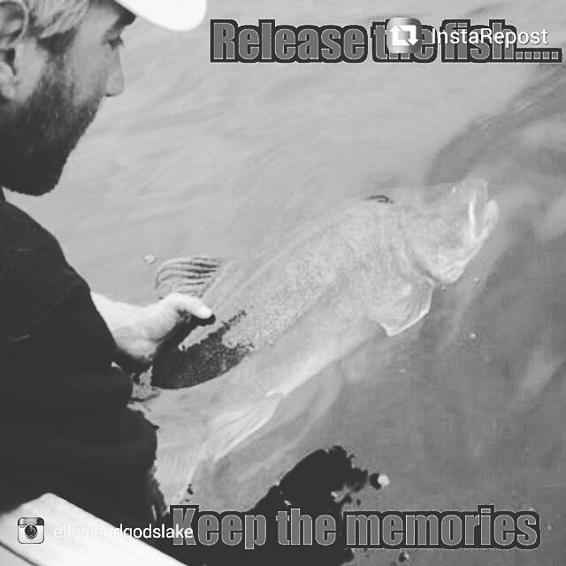 roberts_fishing's tweet image. #teamfilthy #filthyfamily #filthynation #sunsect #teamsunsect #teamdrophook #massbassboys