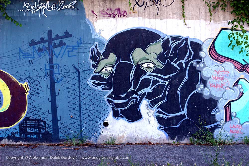 BGgrafiti's tweet photo. Crni panter / Prokop

https://t.co/wTzr0S9vB0 #BeogradskiGrafiti #StreetArt #Graffiti #Beograd #Belgr… https://t.co/1UcYfHPfzo
