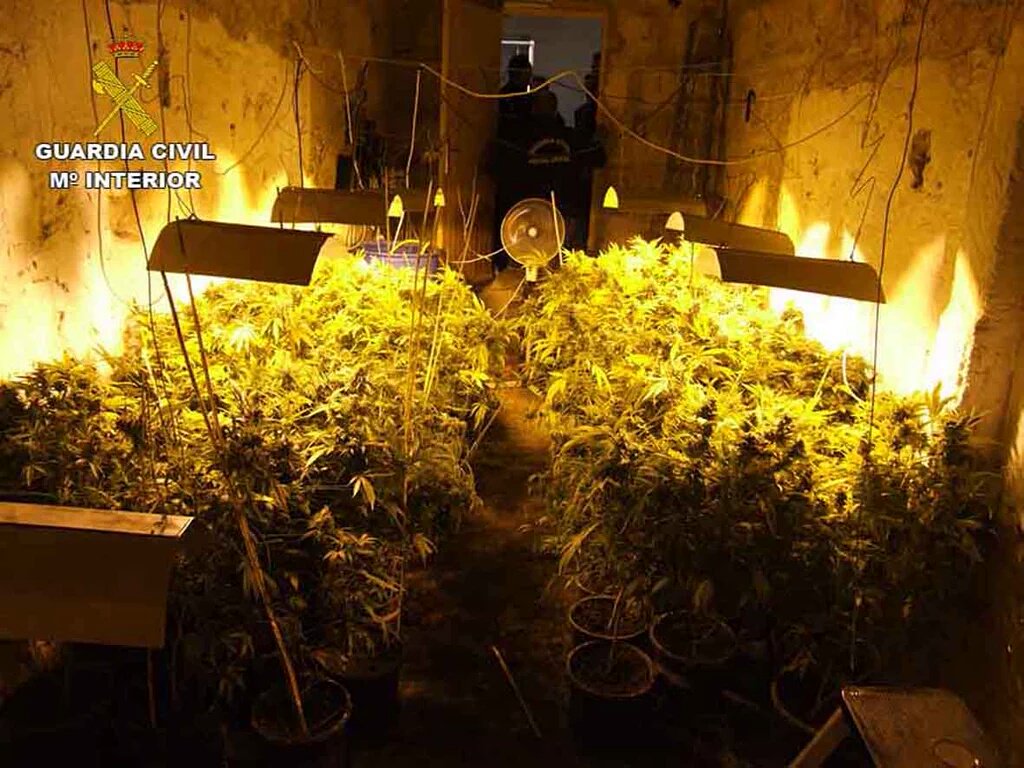 guardiacivil's tweet photo. Hemos encontrado a dos "amigos de la jardinería" en #Baleares
Esas flores llevan siempre al #HotelTricornio🚓🔒 https://t.co/hoq6vXiA0o