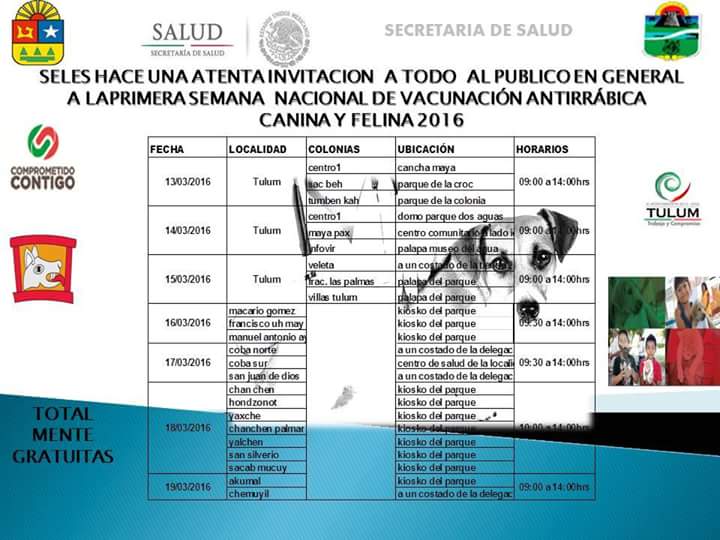 LasPalmasTulum's tweet photo. Vecinos los invitamos a la campaña de vacunacion antirrábica canina y felina, no falten @TinoErrasquin @DavidBalam https://t.co/jRldu48ZEE