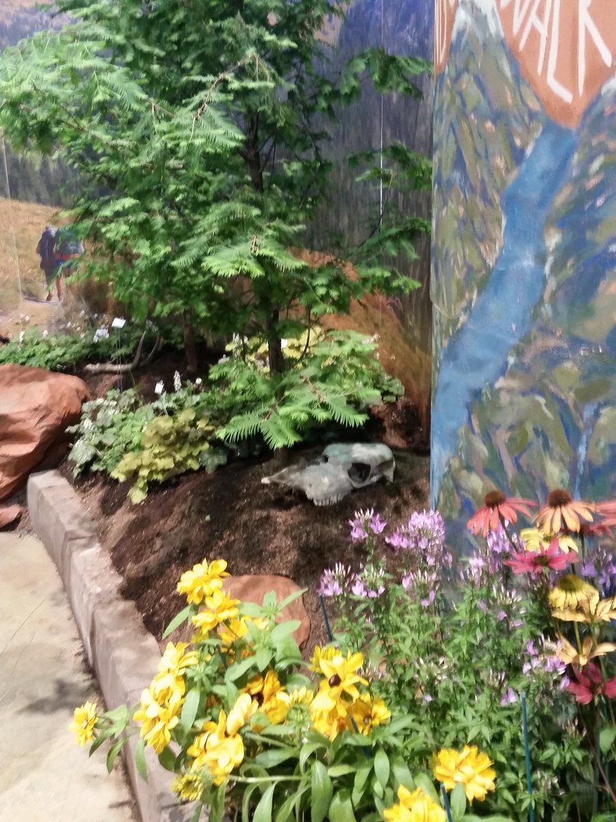 BlueHenLauraJ's tweet photo. @UDelaware own display of the National Parks! #take5outside @PhilaFlowerShow https://t.co/9yU0vpLNrH