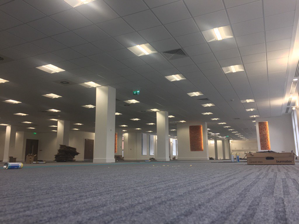 Robert Toland tweet media