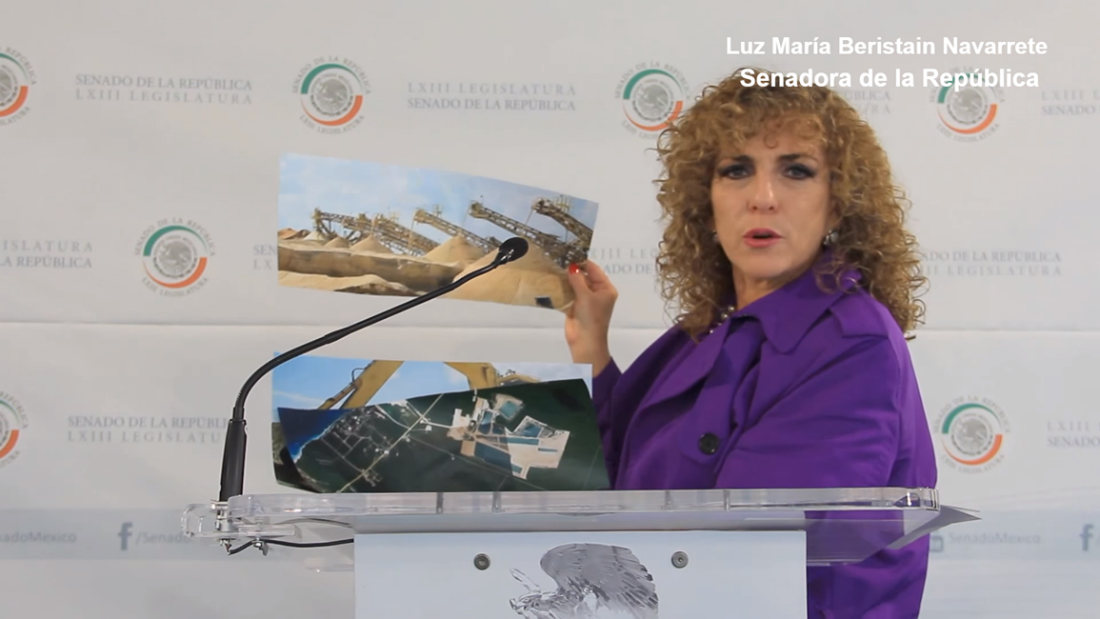 LuzMaBeristain's tweet photo. Exhorto al Gobierno del Municipio de Solidaridad, Quintana Roo...  https://t.co/G4FMYxdU3g https://t.co/U6725fEXn2