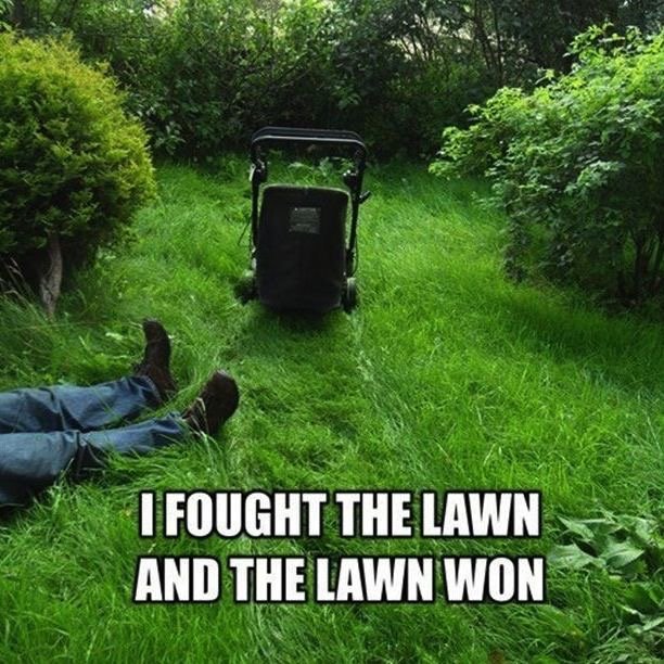 proampower's tweet image. Don't let your overgrown grass from the rainy weather beat you. Come get a tune-up at @proampower &amp;amp; be ready for war