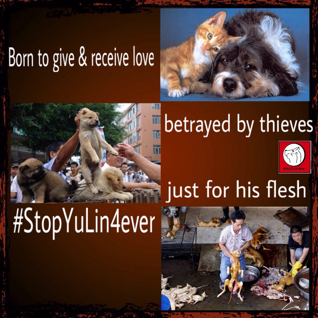 dianne_bromley's tweet photo. .@Metro Born to give &receive love -betrayed by thieves & liars just for his flesh #StopYuLin4ever https://t.co/cmhjHvoVce