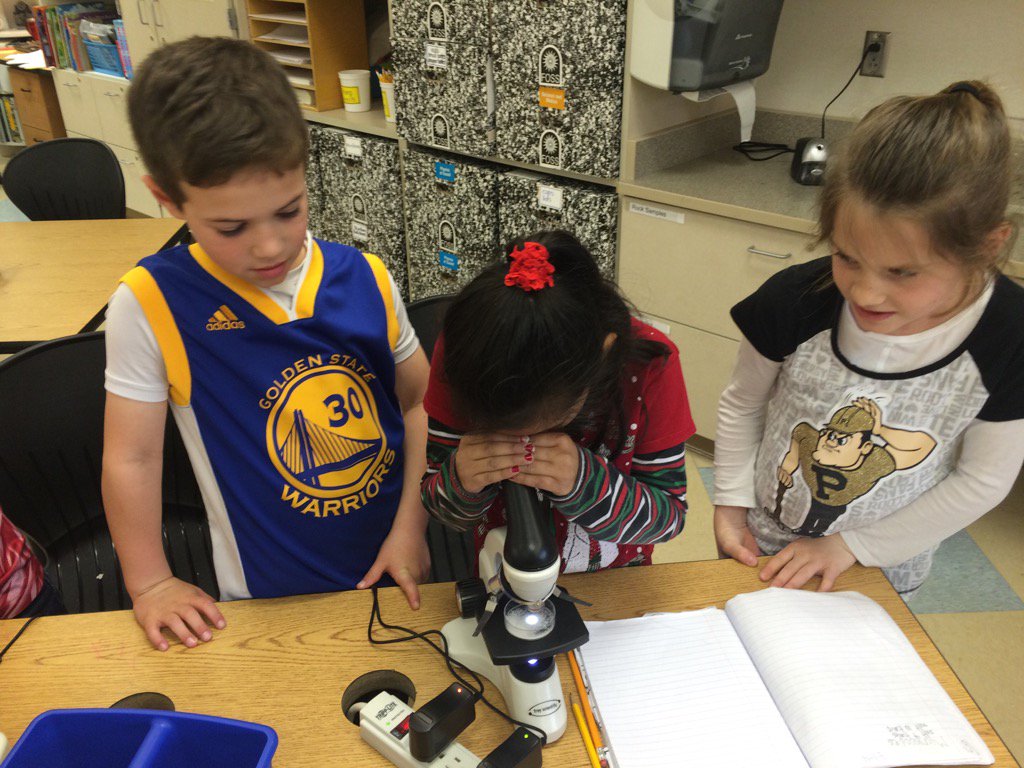 First graders investigate salt crystals