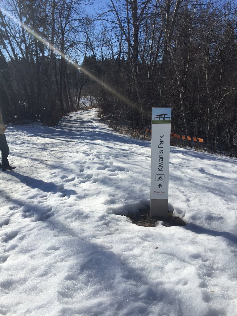 Britttmo's tweet photo. Out testing the route for our upcoming kids in action 5km race! https://t.co/p0ezwdNZBm