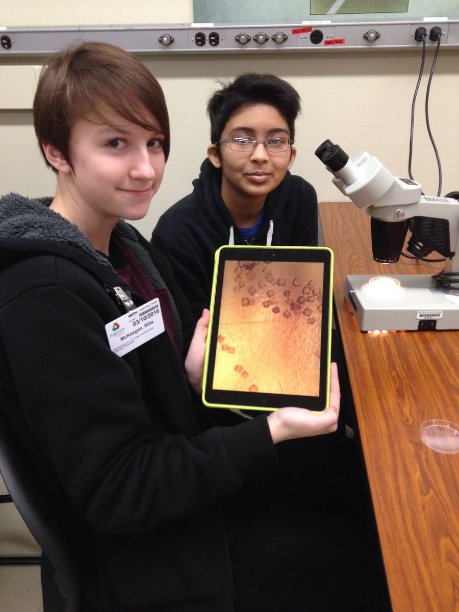 Mission Lane Tech tweet media