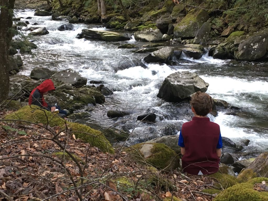 chanceofscience's tweet photo. We spent the morning on the river reflecting on our experiences this week #CDS #GSMIT https://t.co/o2xuKWbnev