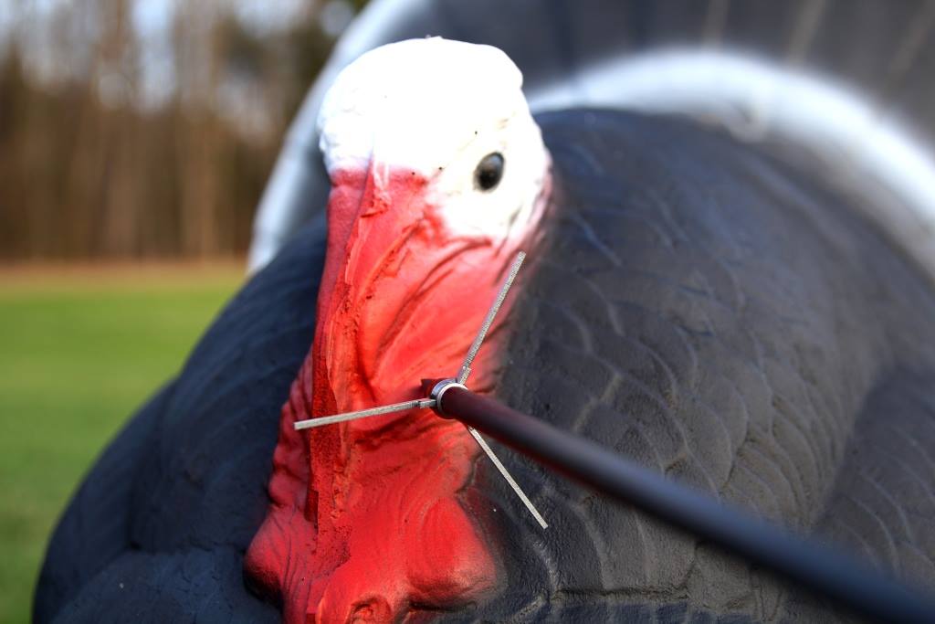 Fred Eichler tweet media