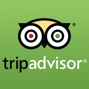 MoshiMoshiRest's tweet photo. ¿Conoces #TripAdvisor? Entra y deja tu opinión para saber qué es lo que más te gusta :) https://t.co/Yd8bCeGw4W https://t.co/VF29VK4qdq