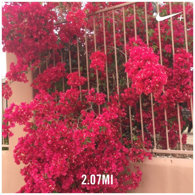 KBuddyK's tweet image. #outsiderunning #gettingbetter  #springgoals