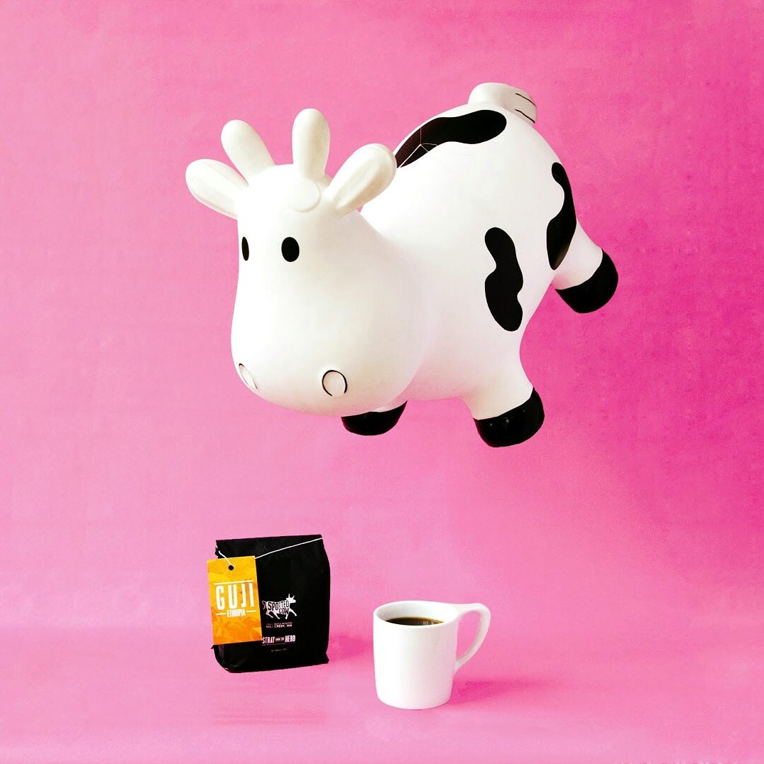 FlatlandsCoffee tweet picture