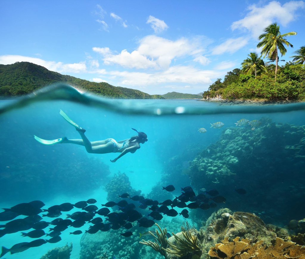 Buceo en Fernando de Noronha, Brasil

#BUCEO #DIVING #BRASIL #BRAZIL #MERGULHO