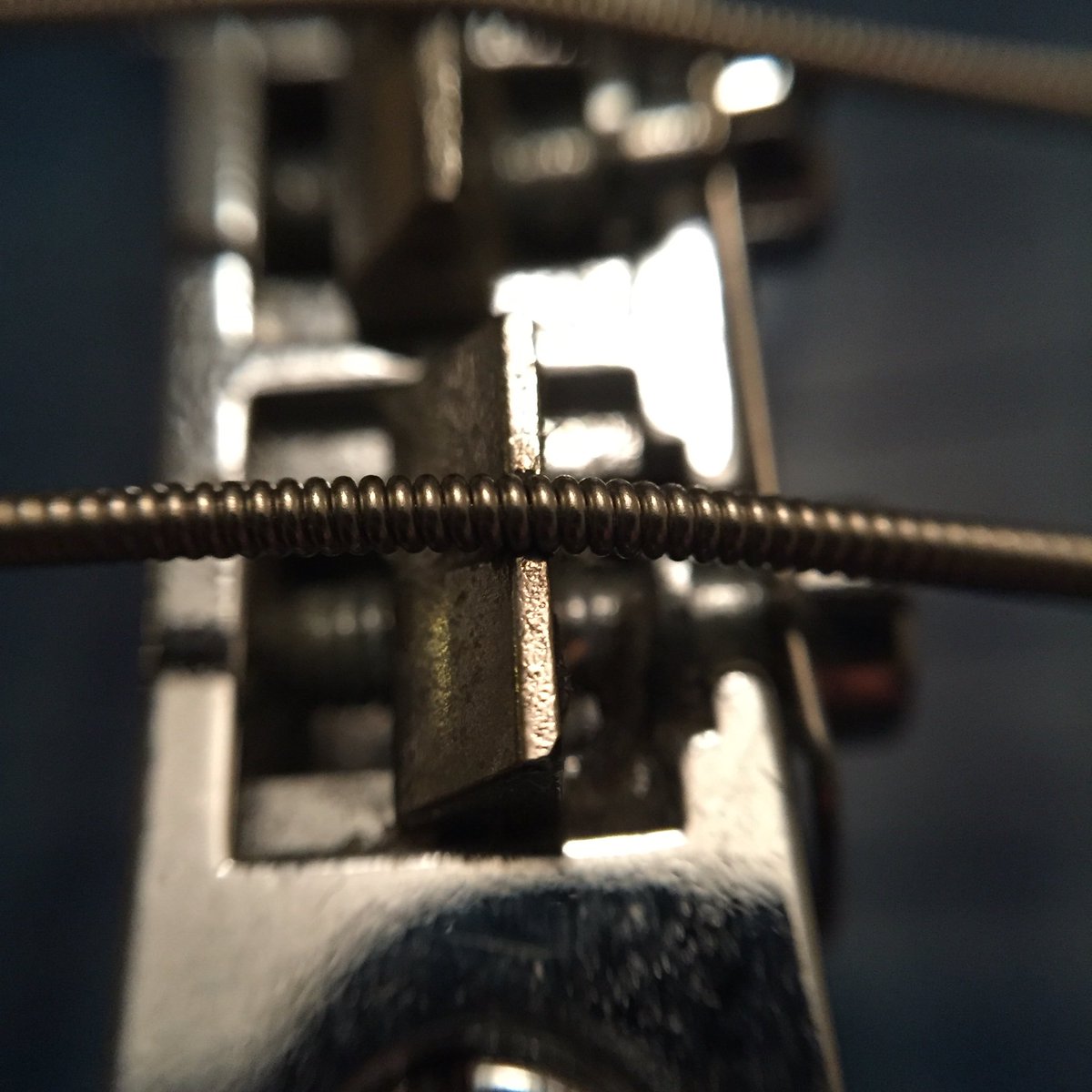 StuffUpClose's tweet photo. Epiphone Les Paul Standard label and strings https://t.co/1xYZKvHvow