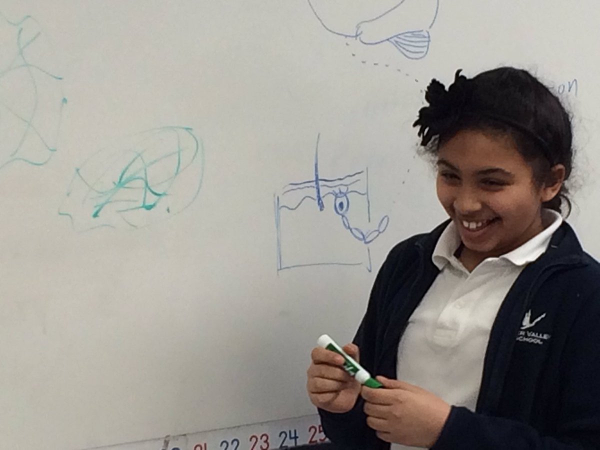 teacherjeff33's tweet photo. What is neuroscience? How do our brains work? #brainwaves @RVSgrade5A @RVSGrade5B https://t.co/KdQb6vrGAq