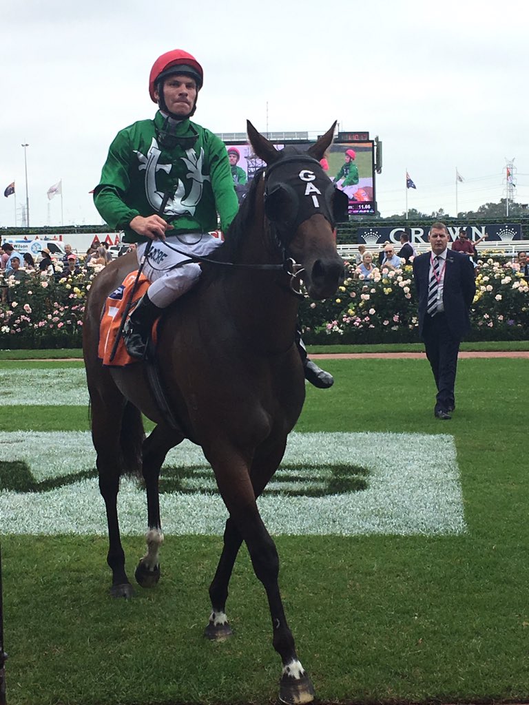 GaiWaterhouse1's tweet image. Thyme For Roses strutting to the Winner's Circle @FlemingtonVRC for owner Jon Kelly🌹 #BlackType  @BMelham