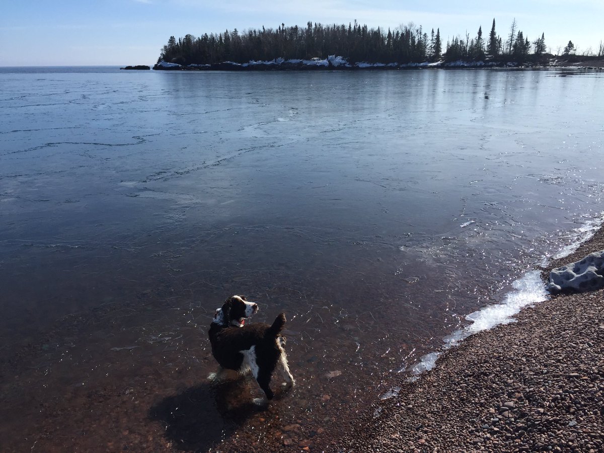 #grandmarais #lakesuperior #eastbaysuites