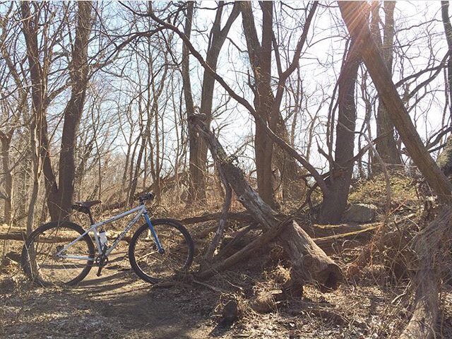 phillypedals's tweet photo. The view of #spring is looking mighty fine already. #phillypedals #phillybikelove 📷 @cyclesphl https://t.co/fZ0OgX0LZ6