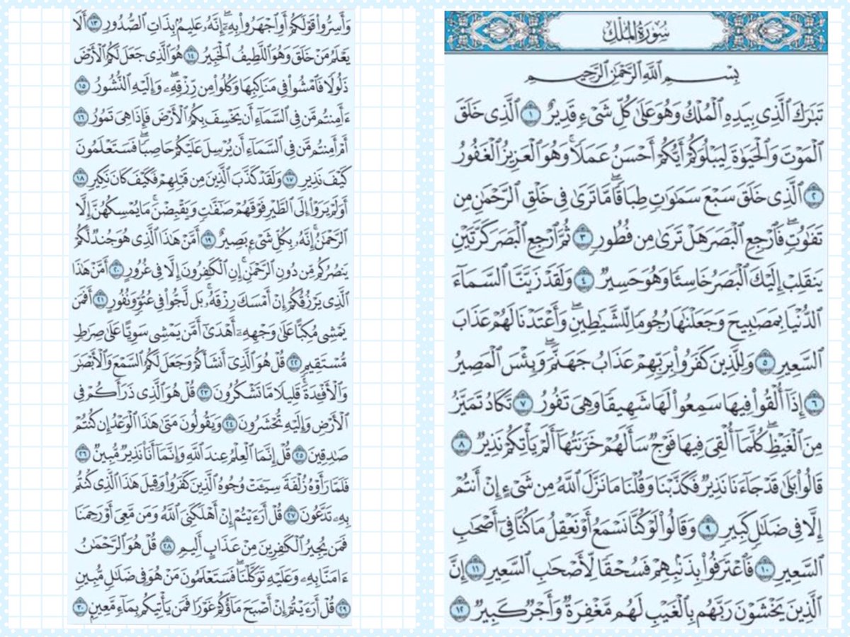 afnan tweet media