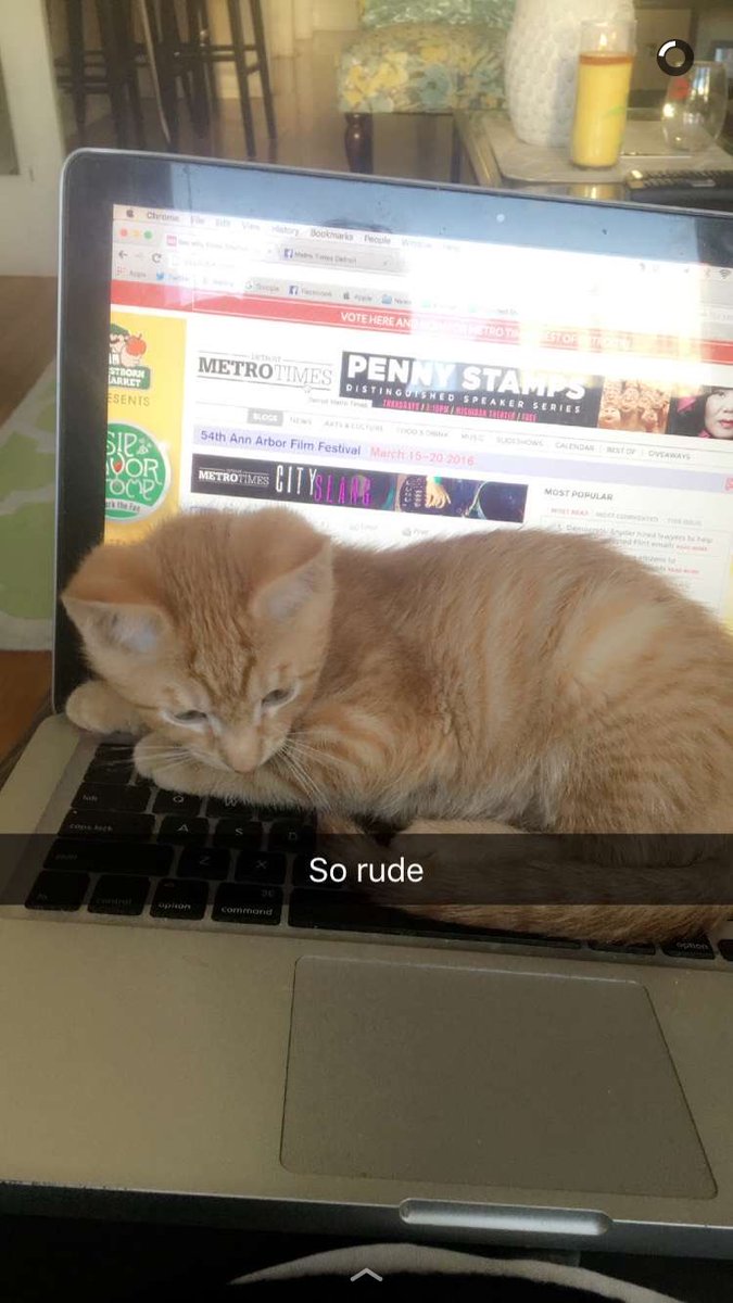 jackroskopp's tweet photo. Getting ready to interview Tyrese on the phone and Weezy is not having it 😹 https://t.co/B6KPekAewt