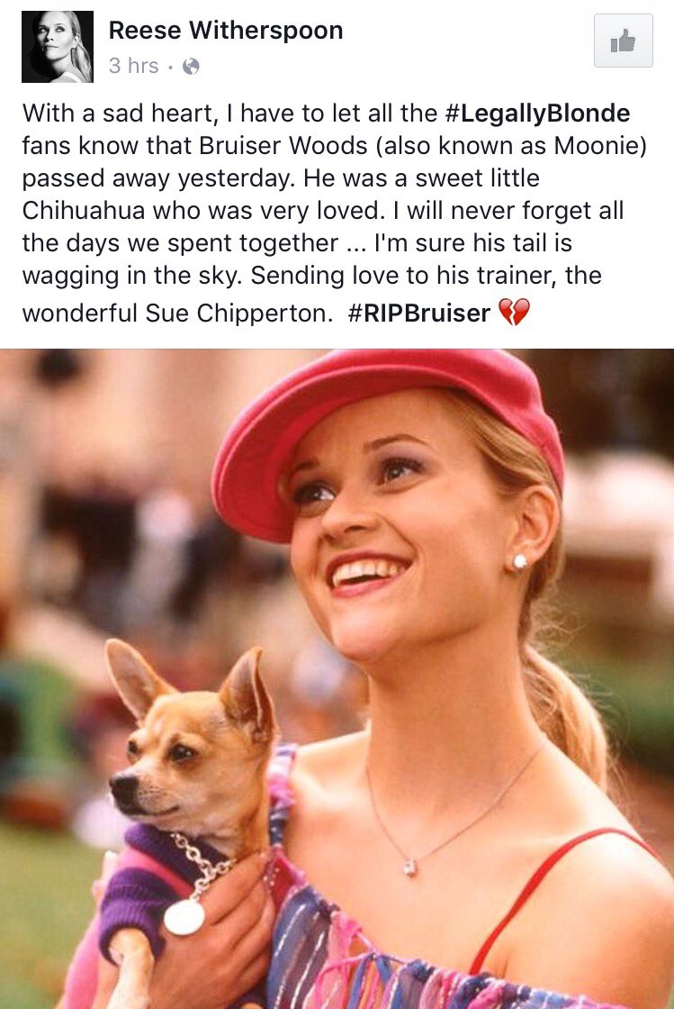 maryssa_a's tweet photo. PSA: life as we know it is over. rip bruiser woods. rip. currently doing the bend and snap in your honor little pal https://t.co/HW2Iex1Bj2