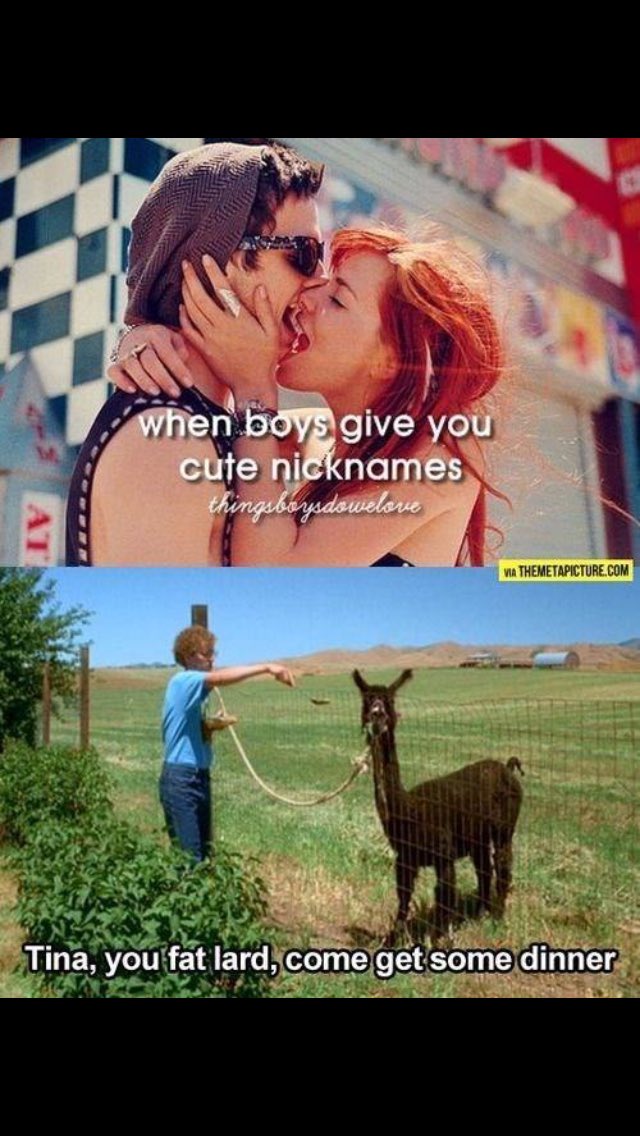 randomcomedy__'s tweet image. Tina, you fat lard!