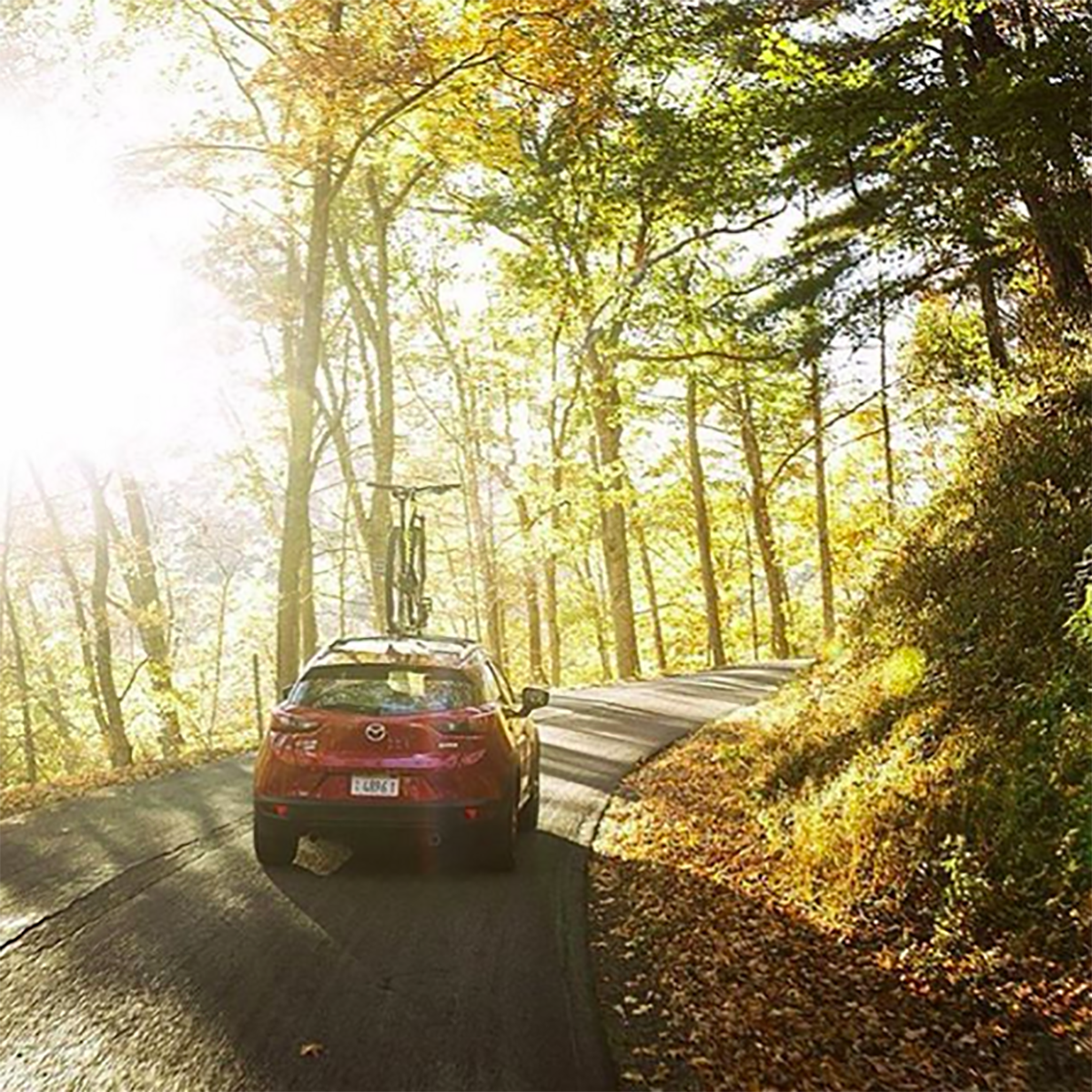 DolanMazda's tweet photo. TGIF! Who's cruisin' to better weather this weekend? #DolanMazda (π·: @mazdausa) https://t.co/O8o8YS5kcb