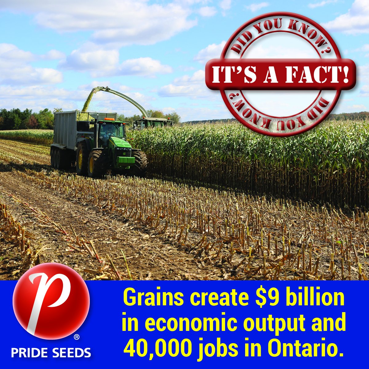 PRIDE Seeds tweet media