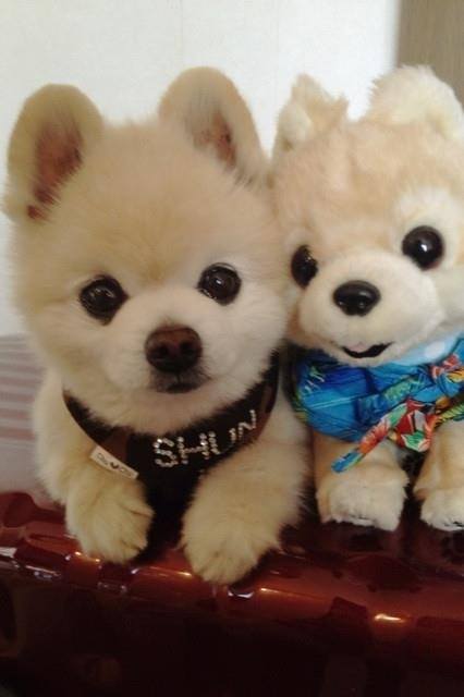 ListPosts's tweet image. 