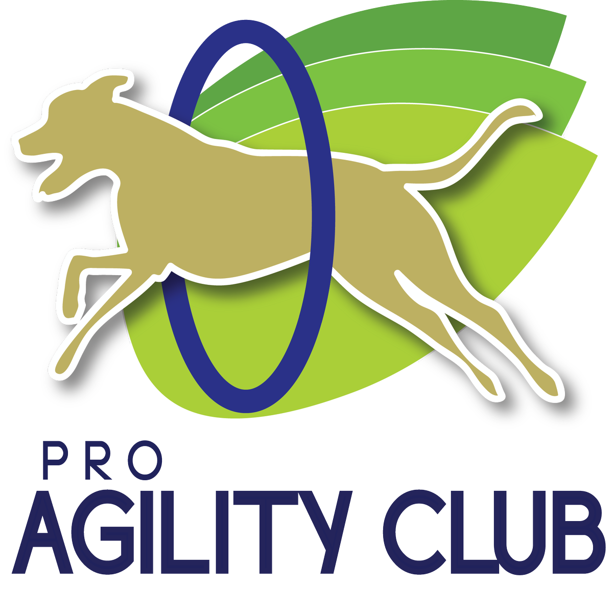 P.R.O. AGILITY CLUB Twitter
