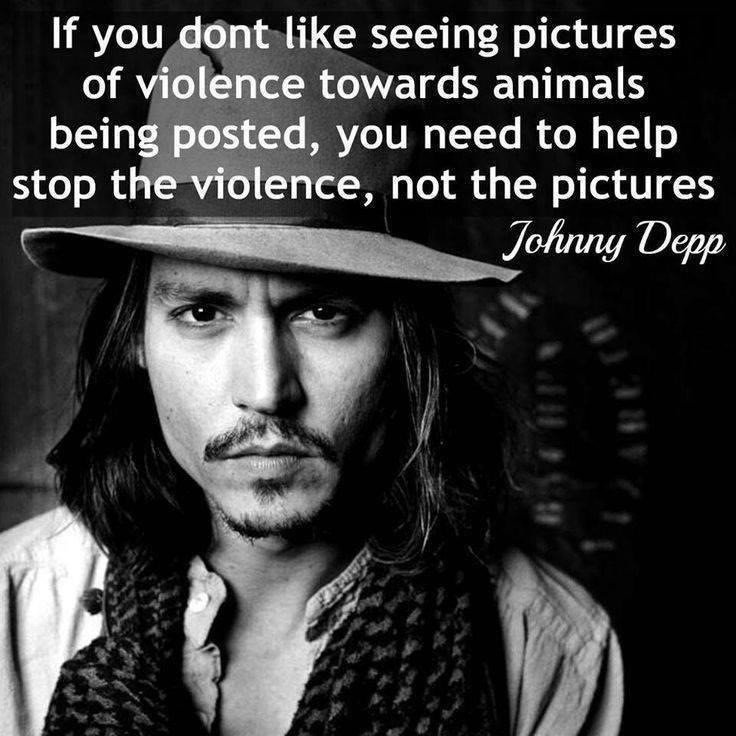 STOP FUR TRADE tweet media