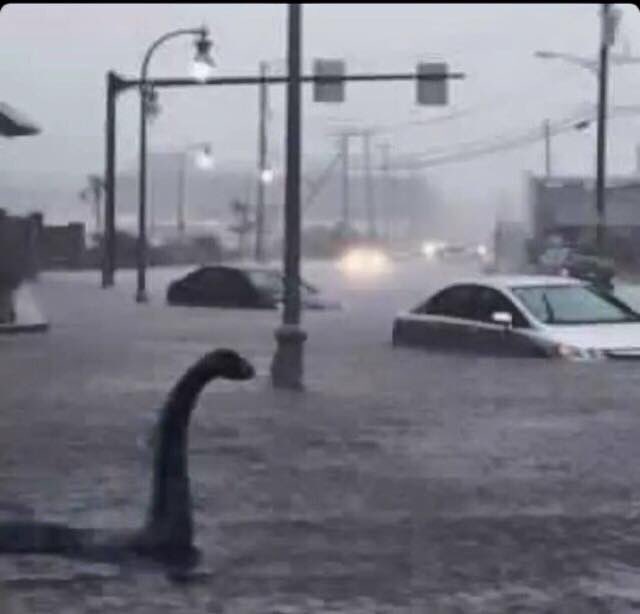 CronkiteSays's tweet photo. MEANWHILE IN LOUISIANA... https://t.co/tB9PcA4LbH