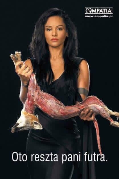 STOP FUR TRADE tweet media
