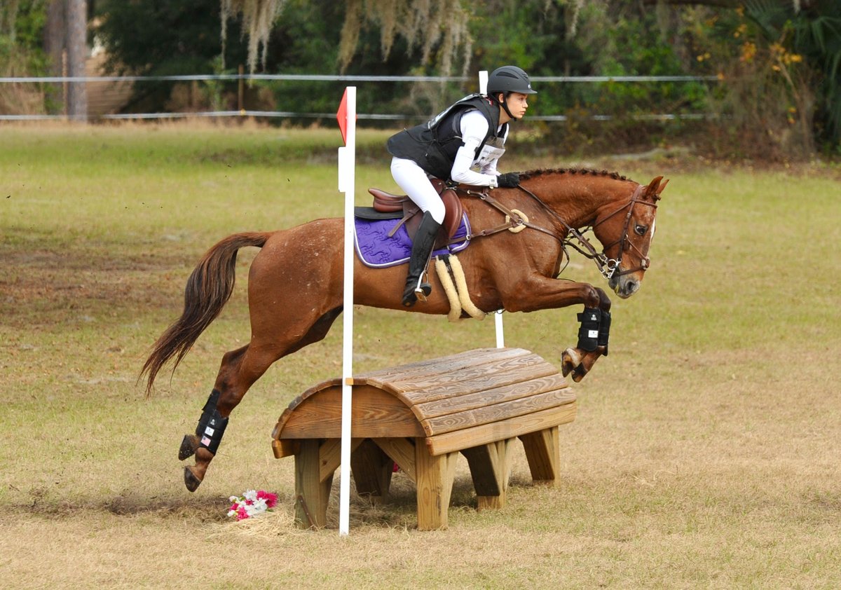 C4Equestrian's tweet photo. Meet our featured #c4belts Ambassador, Olivia Ramos! #equestrian https://t.co/aj7Gpzytln https://t.co/fSrh6UbJw9