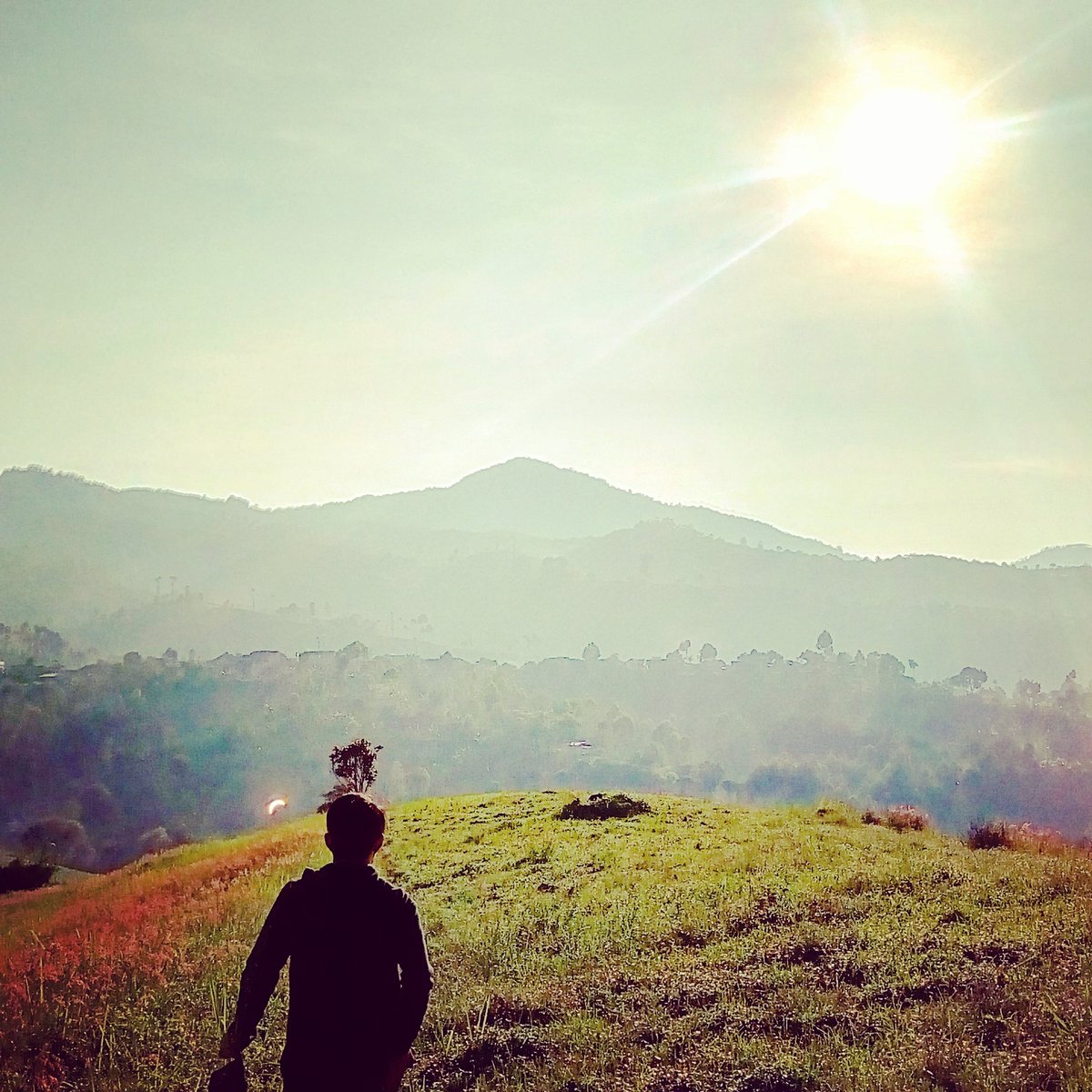 "<a href="/infobdg/">BANDUNG ᮘᮔ᮪ᮓᮥᮀ</a>: Via <a href="/defoy_adetya/">defoy gallagher</a>: morning glory bandoeng timoer :)) #inimahBDG "