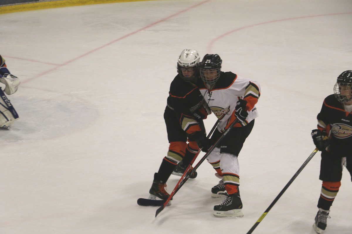 patrioit_david's tweet photo. Wanna dance? #Thunderbirds #ShutdownD #AnaheimIce https://t.co/BnhS5qlq09