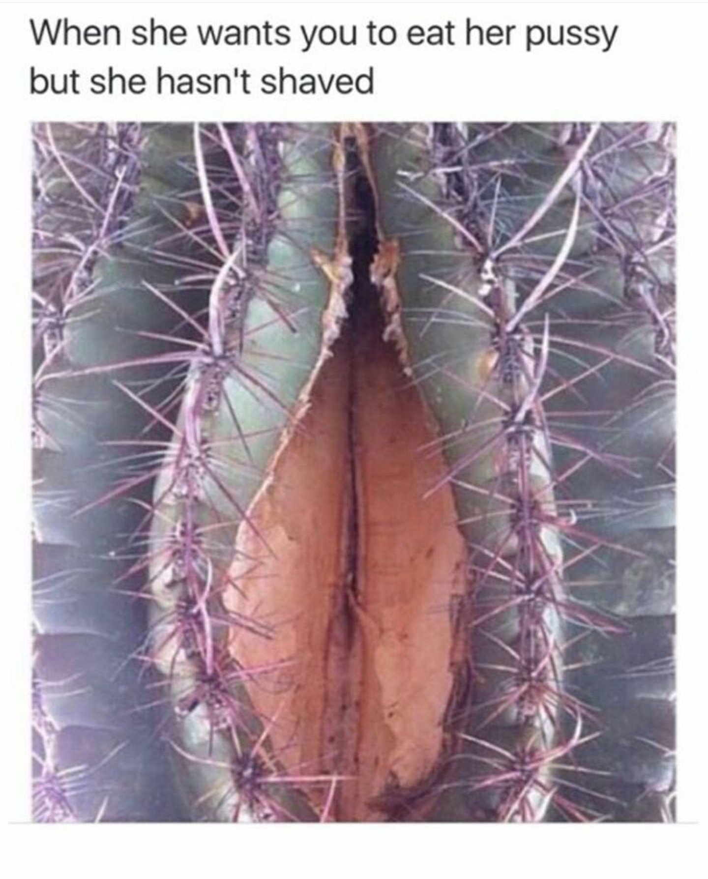 Cactus in pussy