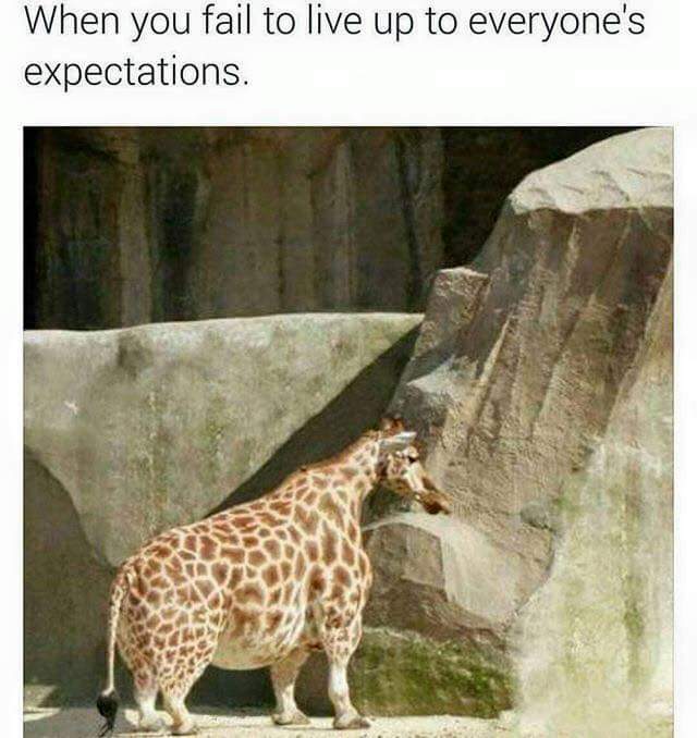 ryeoweng's tweet photo. ๐๐๐
good afternoon
#ShortGiraffe
https://t.co/8dsWUyLGZS