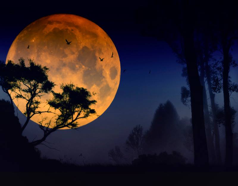 BeautyMoonIight's tweet photo. Success is steady progress toward one's personal goals. - Jim Rohn https://t.co/LXhNGNabkD