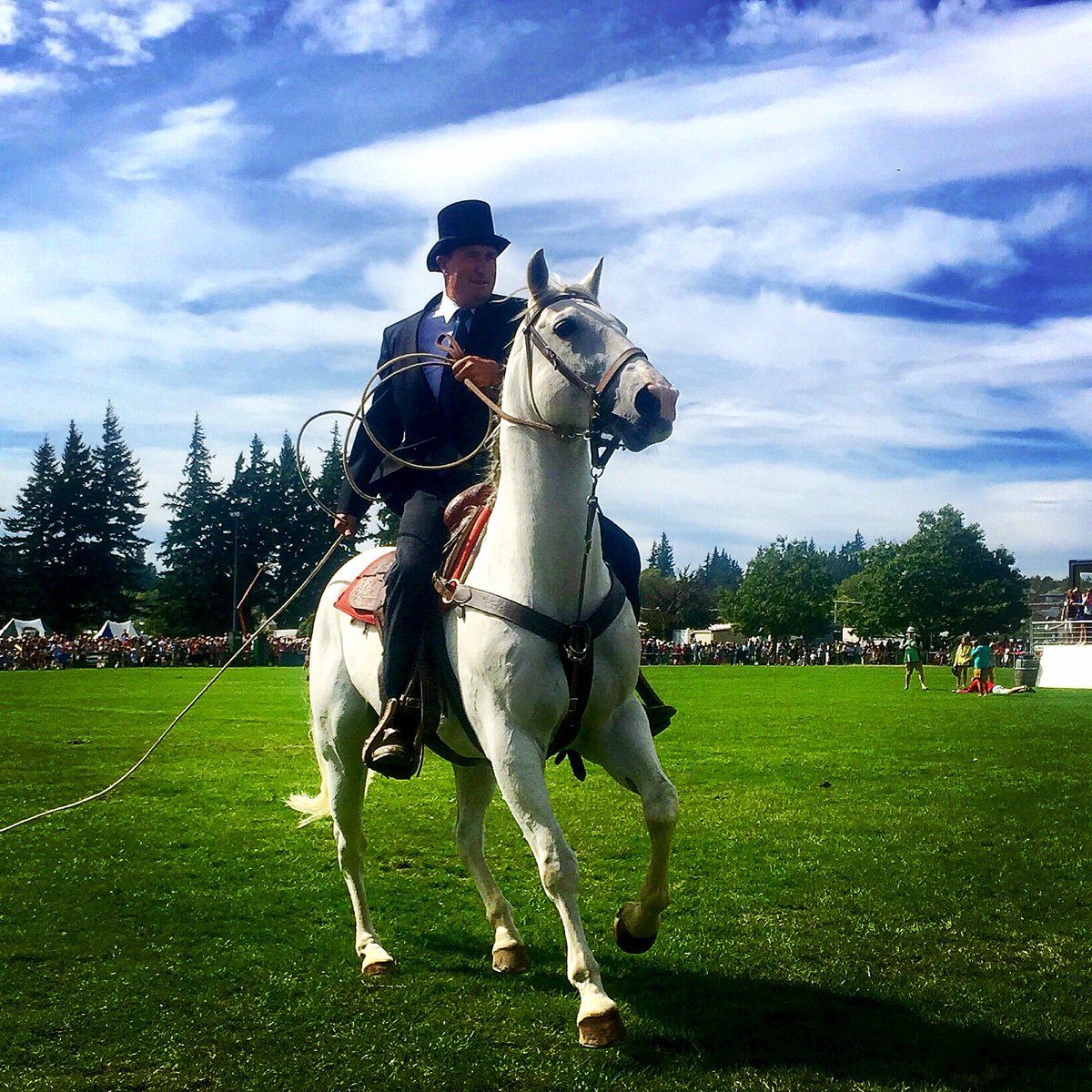 #Rodeo #legend Pat McCarthy starts the #jackrussell #race at <a href="/WanakaShow/">Wanaka A&P Show</a> today. #horselove #HorseHeaven #horsetweet