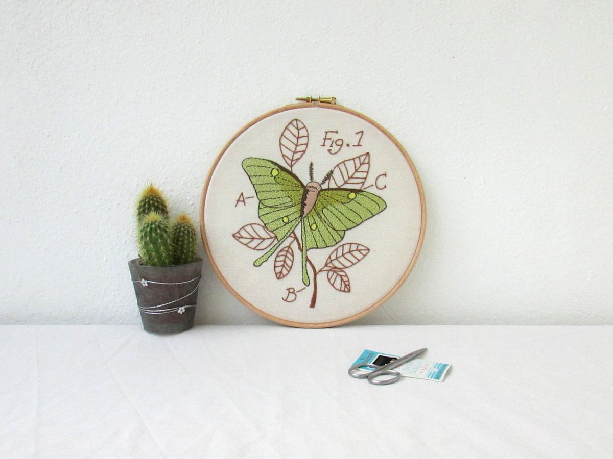 Luna moth hand embroidery, embroidery hoop art, insect art, scien… etsy.me/1pCIQcS #handmade #MothEmbroidery