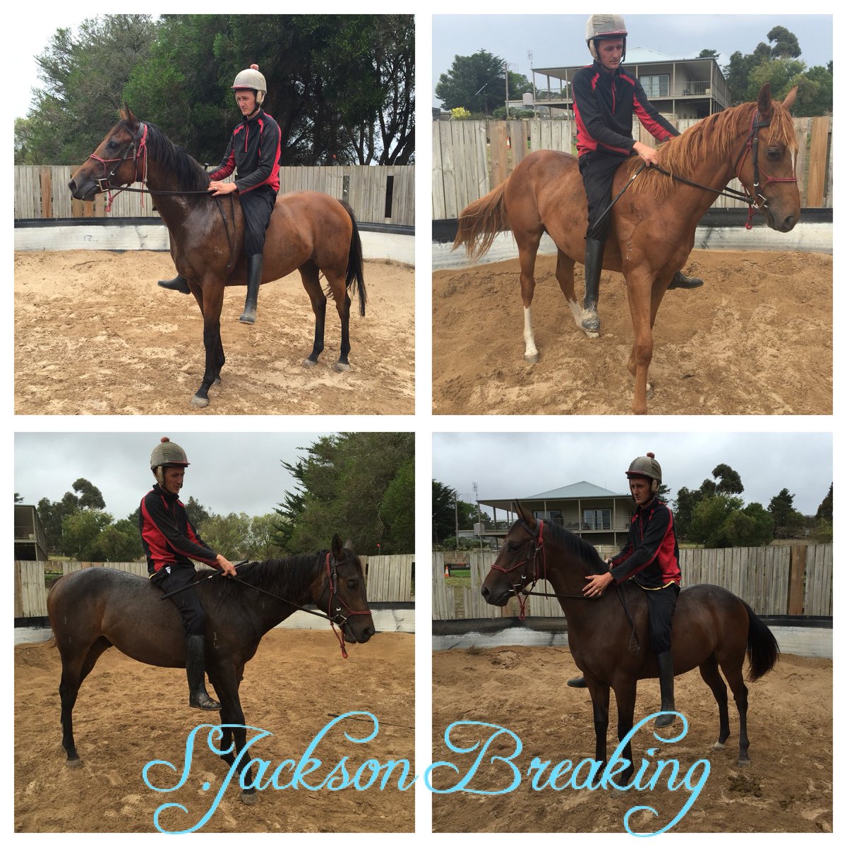 4 babies learning the ropes this week #alternativebreaking #futurechampions