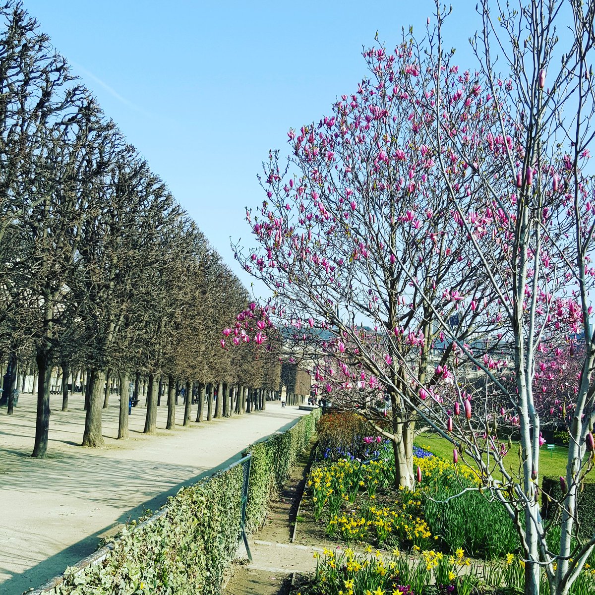 krustypants's tweet image. Spring has sprung... in Paris #springinmystep #paris