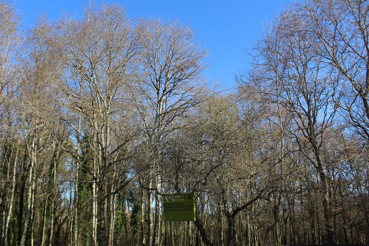 O anticiclón deixa fermosas fotografias como a que envía Susana Moreira dende as Gándaras de Budiño (O Porriño).