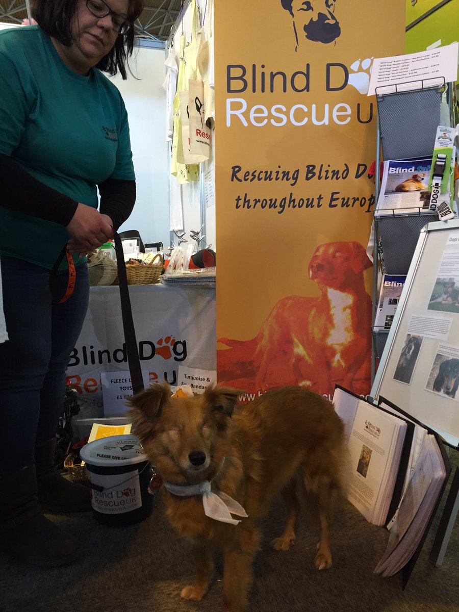 naturally happy dogs