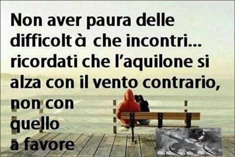 @a_sabetta <a href="/FerratoPaola/">Paola Ferrato</a> <a href="/criss110174/">criss</a> <a href="/StellaMartina2/">StellaMartina</a> <a href="/Stefychisono/">Stefy</a> <a href="/Lilly_Swing/">Liliana**</a> <a href="/arica72/">Arianna72</a> Buon sabato a voi