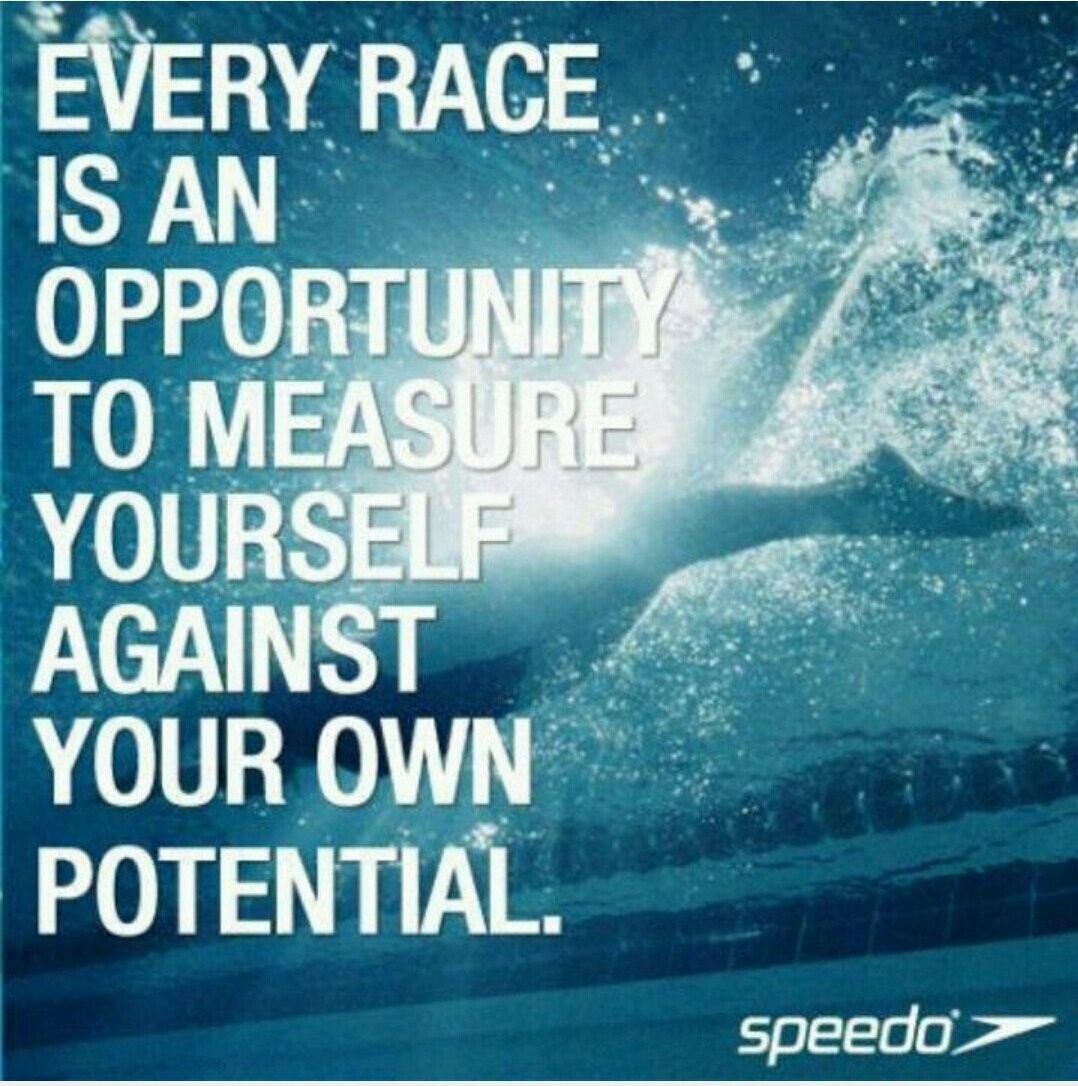 WhitbySeals's tweet photo. Good luck to all the #whitbyseals competing in the Kingfisher B &amp; C Gala at @EveryoneActive scarborough today. https://t.co/wfjtIYI23y