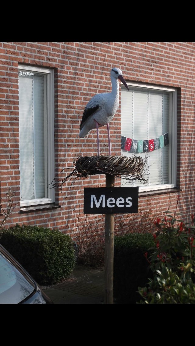 RichardEijk's tweet image. Briljant. Was Waku Waku er nou nog maar. Kennis van dieren neemt zienderogen af