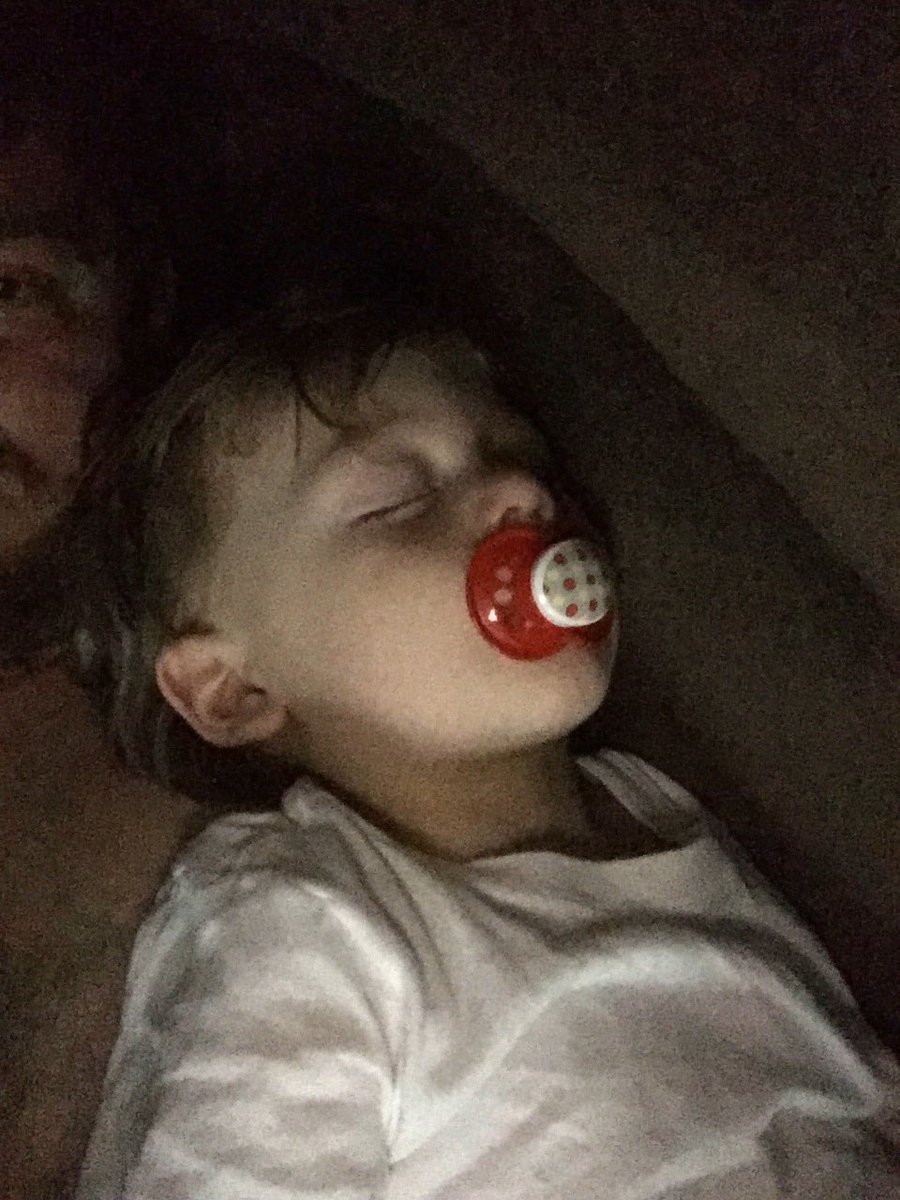 MWNoble's tweet photo. These 2am couch nights make my life better. Even when I complain the next day. #Tripp #MainMane #LoveHim https://t.co/FkaBPzgvgJ